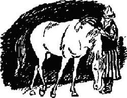 Читать книгу Ак-Бозат автор: Дмитрий Наркисович Мамин-Сибиряк